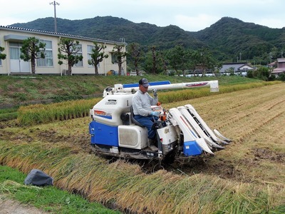 稲刈り・脱穀3.jpg