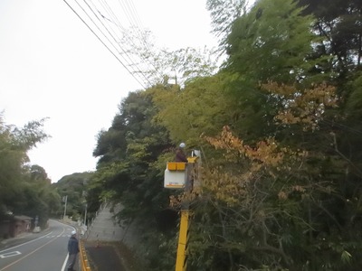 竹の伐採1.jpg