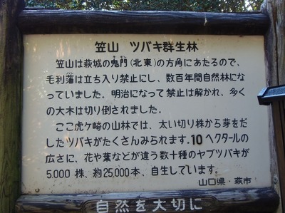 笠山ツバキ群生林説明板.jpg