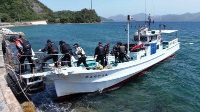 P1.jpg