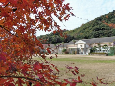 紅葉と青海島共和国.jpg
