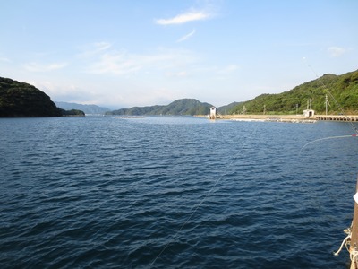 紫津浦湾.jpg