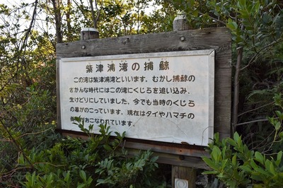 紫津浦湾の捕鯨説明.jpg