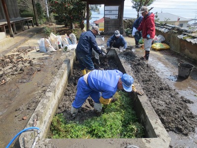 肥料用の草.jpg