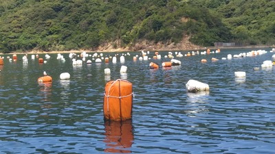 育成場1.jpg