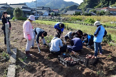 芋掘り4.jpg