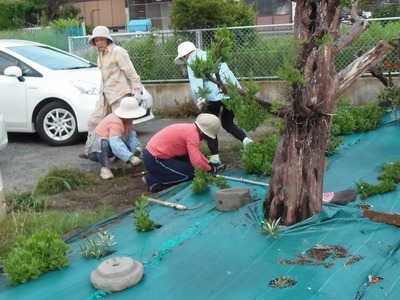 花壇の草取.jpg