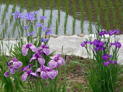 ԏҊ1.jpg