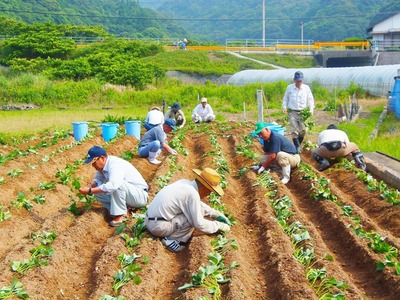 苗植え1.jpg