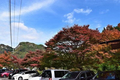 若山温泉の紅葉1.jpg