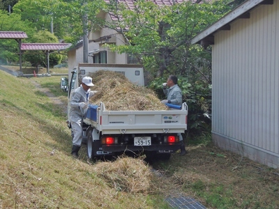 草刈り後2.jpg