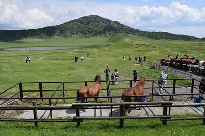 痢1.jpg