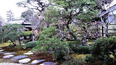 菊谷家住宅庭園2.jpg