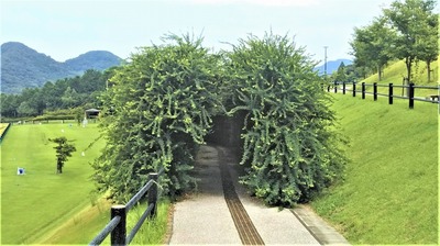 萩の花トンネル1.jpg