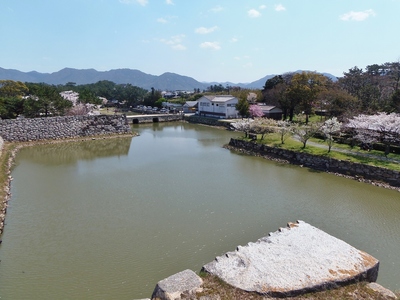 萩城天守閣跡からの眺望2.jpg