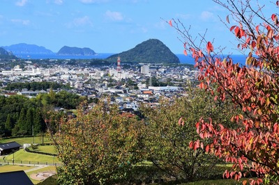 萩市街地と木々の秋色.jpg