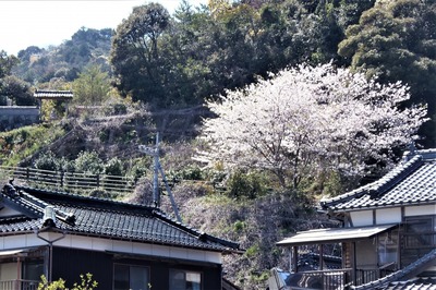 薬師山.jpg