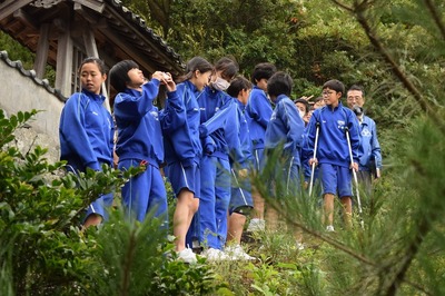 薬師山2.jpg