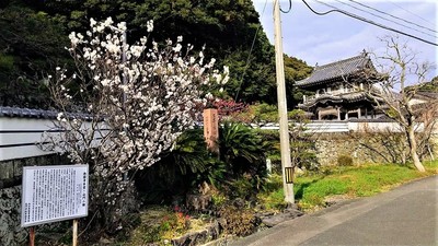 西園寺山門と季節の花.jpg