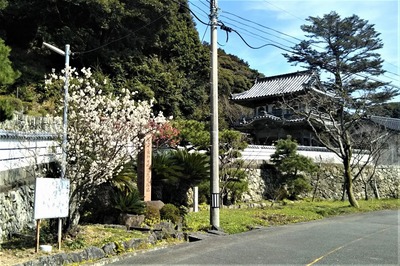 西園寺山門と季節の花1.jpg