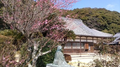 西圓寺.jpg