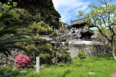 西圓寺の新緑と季節の花.jpg