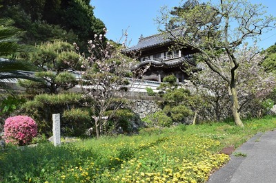 西圓寺山門と季節の花.jpg