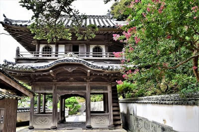 西圓寺山門と百日紅.jpg