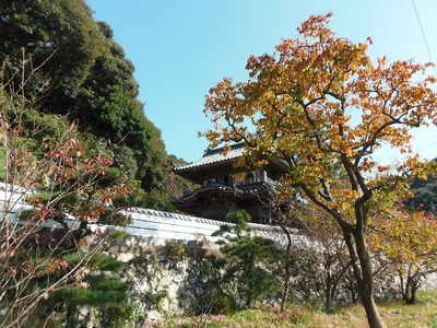 西圓寺山門と秋色1.jpg
