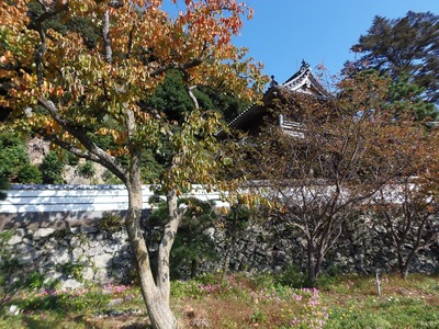 西圓寺山門と秋色2.jpg