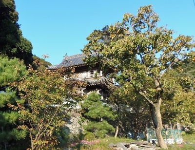 西圓寺山門の秋色5.10.12.jpg