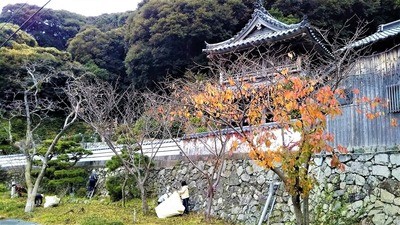 西圓寺清掃2.jpg