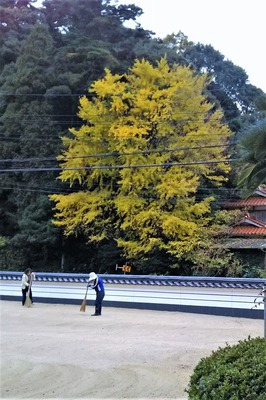 西圓寺清掃4.jpg