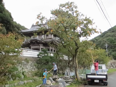 西圓寺秋景色4.10.14.jpg