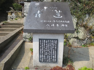 西圓寺青蓮説明碑1.jpg