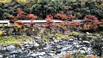 観音岩温泉の紅葉3.jpg
