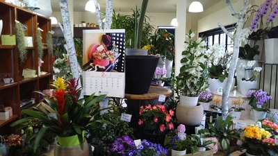 豊華6.jpg