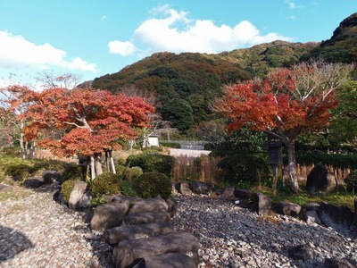 近松道路公園の秋色1.jpg