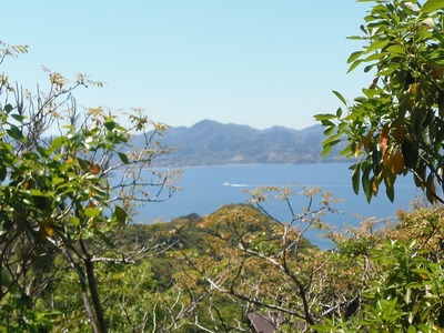 途中の眺望・深川湾.jpg