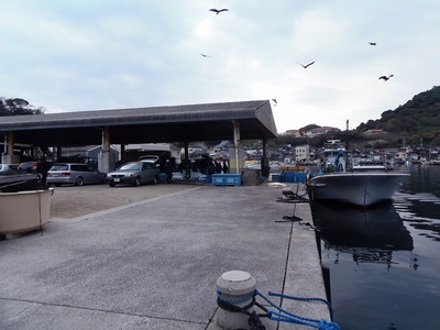 通魚市場.jpg