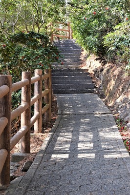 遊歩道.jpg