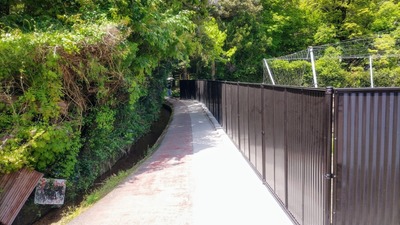 遊歩道拡張.jpg