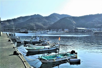 野波瀬漁港2.jpg