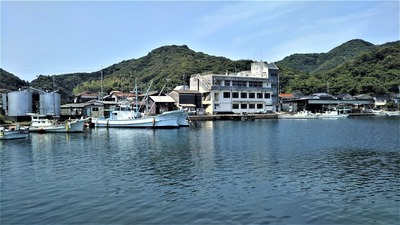 野波瀬漁港4.jpg