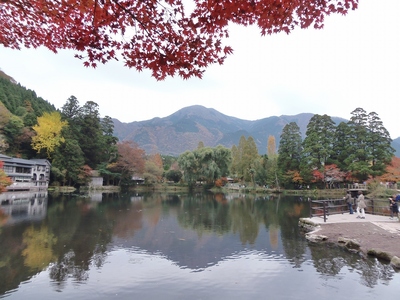 金鱗湖と秋色1.jpg