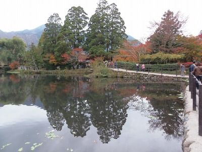 金鱗湖と秋色2.jpg