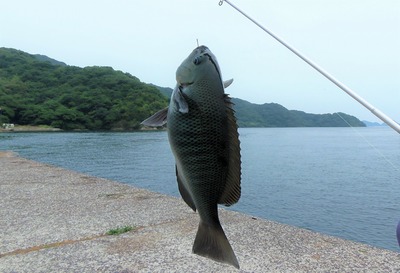 釣果2.jpg