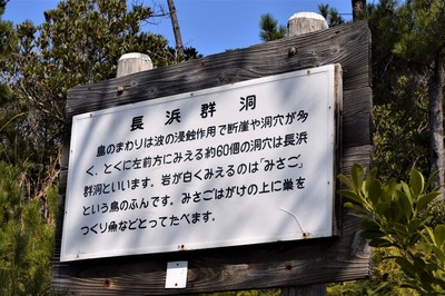 長浜群洞説明.jpg