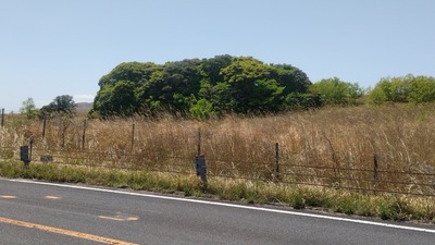 長者ヶ森.jpg
