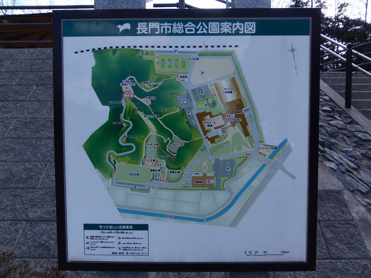 長門市仙崎 長門市総合公園 山口県 長門市 今が旬